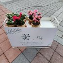 이마트24 SELF첨단LH3단지점 | 첨단꽃집 화사 위치 및 예쁜 꽃다발 후기