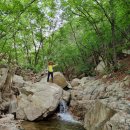 울주 대운산(상대마을,도통골,상대봉,2봉,1봉,늑대바위,굴바위(방굴정지굴),동굴(천신당),원점회귀) 이미지