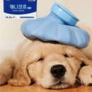 통영동물약국 이미지