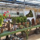 송한농장 이미지