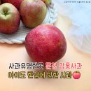 달콤한 사과이야기 | 사과유명한곳 문경 감홍사과 아침 사과효능과 달콤한 사과주스까지 즐긴 후기