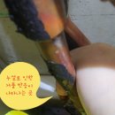 벌교가스 이미지