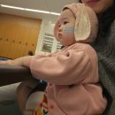 중계동영재과학센타 | [혠도리의 육아이야기] 56. 가을학기 글렌도만 영재교실 문센 후기 (feat. 박영선 강사님)