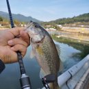 성주소류지 이미지