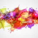 새독일안경원 이미지