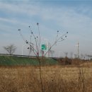 프로방스언덕