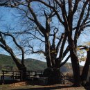 양화마을 이미지