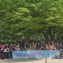 봄나들이 이미지