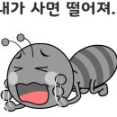 포올 석사 태권도 이미지