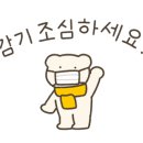 오투모터스 이미지
