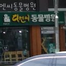 디엔씨 동물병원 이미지
