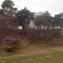 진경원민박캠핑장 이미지