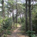 태인 터미널 이미지