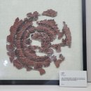 서울대학교 박물관 | 수리수리 보존수리[서울대학교박물관]