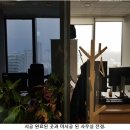법인루마