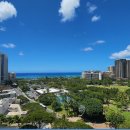 나무늘보호텔 이미지