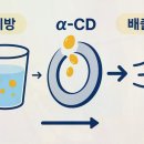 이씨디