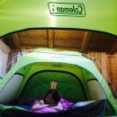 43번가 게스트하우스 이미지