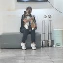 사하동물병원 | 사하구 동물병원 사하동물의료원 강아지 이물질 방문후기