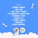 진영동물병원 이미지