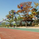 한강시민공원(자연학습장) 이미지