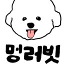 멍러빗 네이버블로그