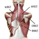 반여2동-6 이미지