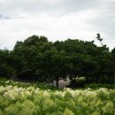 토토로마을 이미지