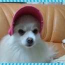 덕은농장 이미지