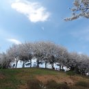 은대공원 네이버블로그
