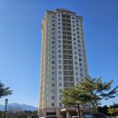 영랑호수윗길 | 속초 스타벅스 영랑호점 속초 영랑호수윗길 산책 주차