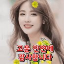 중용 이미지