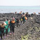 금능맛차롱 협동조합 이미지