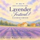 진성농장 | 고성 하늬라벤더팜 입장료·주차·축제 일정, 방문 전 체크리스트 총정리