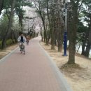 보문호반길 이미지