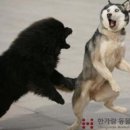 한가람동물의료센터 이미지