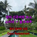 식스 밸런스(SIX BALANCE) | 발리 신혼여행 울루와뚜 코스 : 스미냑 → 짐바란 CUCA 점심(예약 꿀팁) + 식스센스 체크인