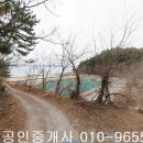 장흥군 회진면 대리 잡종지10473제곱,매6억5천,전남토지매매,장흥토지매매 이미지