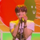 행복세탁소 | 8월 일을 내가 어 떻 게 기억....기억....세탁소(원위 플라이트 공연 후기)