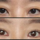 디자이너성형외과의원 이미지