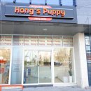 지니퍼피 의정부강아지분양 애견샵 | 수원애견분양, 11년 차 전문가의 체계적인 샵 발견! 홍스퍼피 수원본점 후기