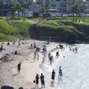 스킨스쿠버, 스킨다이빙(화) | 제주도 섶섬 스킨스쿠버 다이빙 체험 후기: 1000% 대만족 / 버블탱크로 가서 이쁜 사진 건지기!