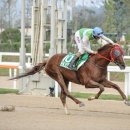 월드컵목장 이미지