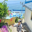 더자이언트 | 동해 묵호여행 묵호역 가볼만한곳 도째비골 상세후기!
