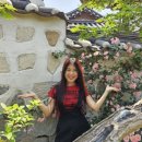 선샤인스포츠 이미지