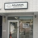 멈므 | 울산 남구 신정동 수제애견간식 '멈므' 방문후기