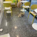 냥냥쩝쩝 이미지