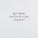 사진7번지