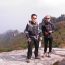 오누이안경 이미지