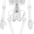 캠핑장마트 - 제천시 미륵송계로 1603-1 | 캠핑장마트